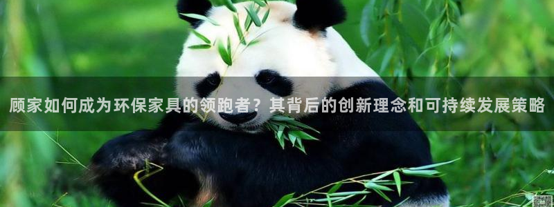 沐鸣平台注册代理：顾家如何成为环保家具的领跑者？其背后的创新