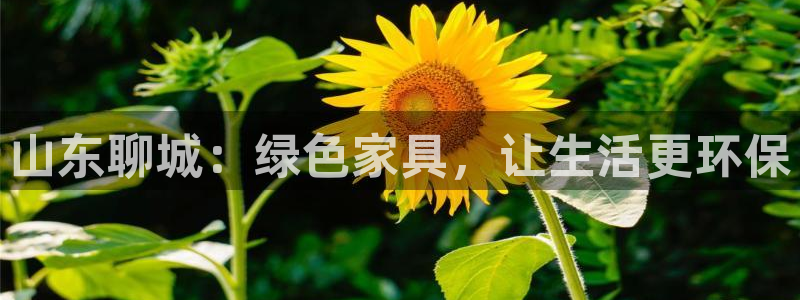 沐鸣平台怎么样?