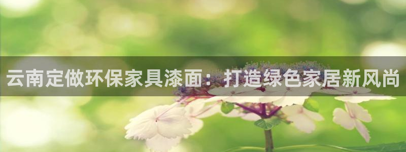 沐鸣注册中心：云南定做环保家具漆面：打造绿色家居新风尚