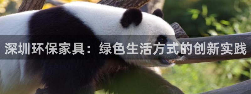 沐鸣平台官网网址