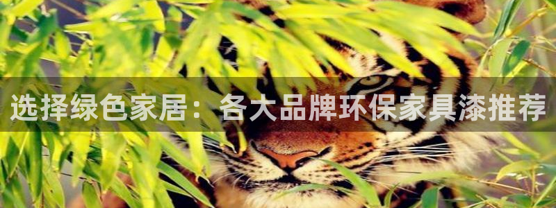 沐鸣平台注册登录：选择绿色家居：各大品牌环保家具漆推荐