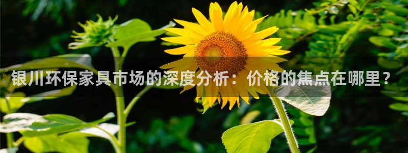 沐鸣平台代理怎么赚钱的：银川环保家具市场的深度分析：价格的焦