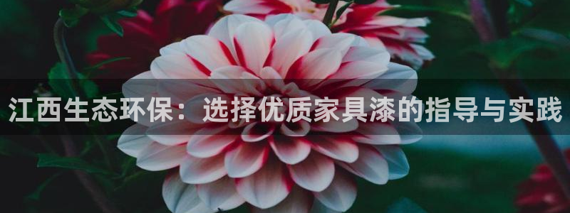 沐鸣平台代理