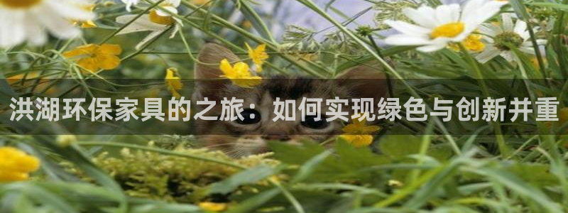 沐鸣平台网页版