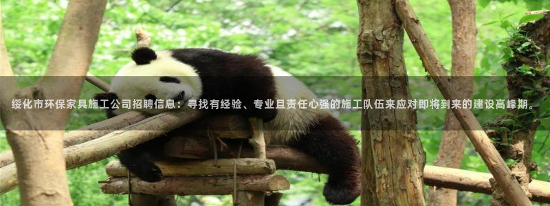 沐鸣代理官网：绥化市环保家具施工公司招聘信息：寻找有经验、专