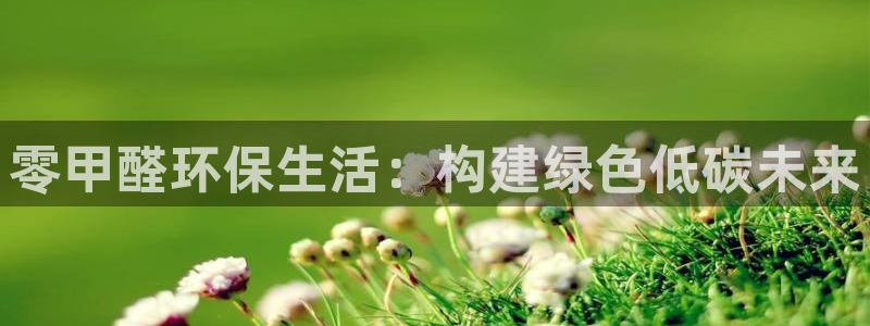 沐鸣平台客户端：零甲醛环保生活：构建绿色低碳未来