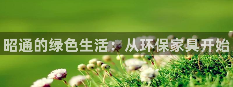 沐鸣平台官方登录：昭通的绿色生活：从环保家具开始