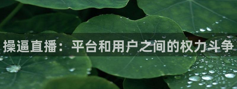 nba飞速直播在线观看