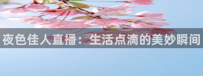 nba飞速在线直播：夜色佳人直播：生活点滴的美妙瞬间
