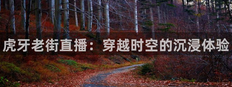 飞速直播nba无插件：虎牙老街直播：穿越时空的沉浸体验